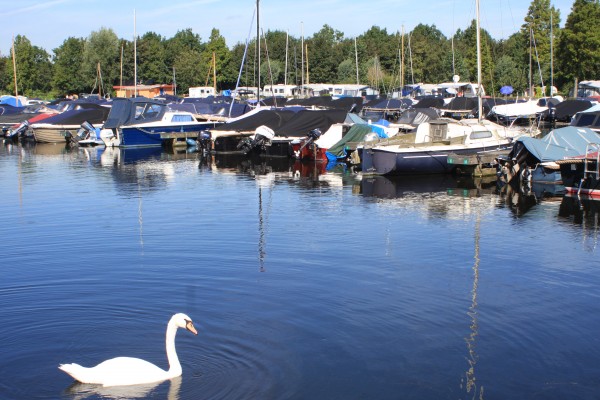 IMG_0496 Haven Vlietland