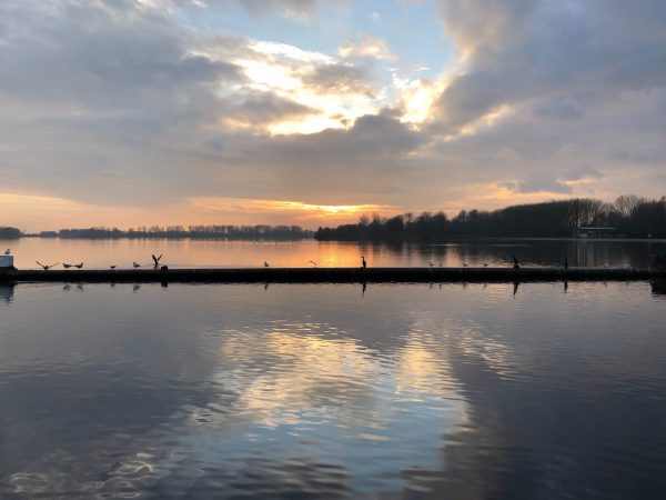 Winter bij Vlietland